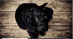 can help to fight cancer